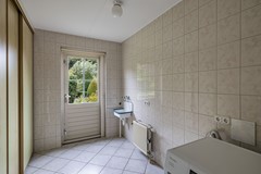 Foto Wespendief 4 Tollebeek 23.jpg